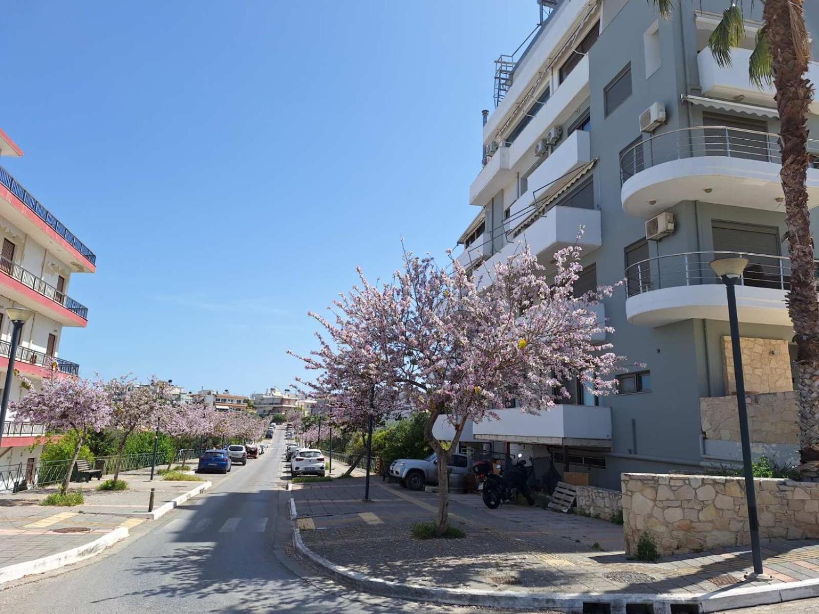 Iriana'S Apartments In Center Ханья Экстерьер фото